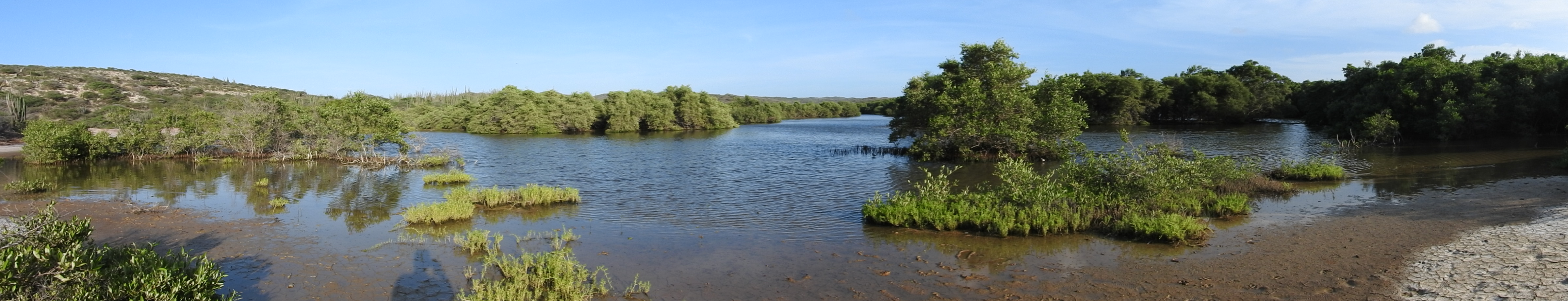 Spaans Lagoen landscape